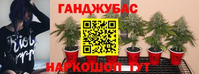 гашишное масло Славянск-на-Кубани