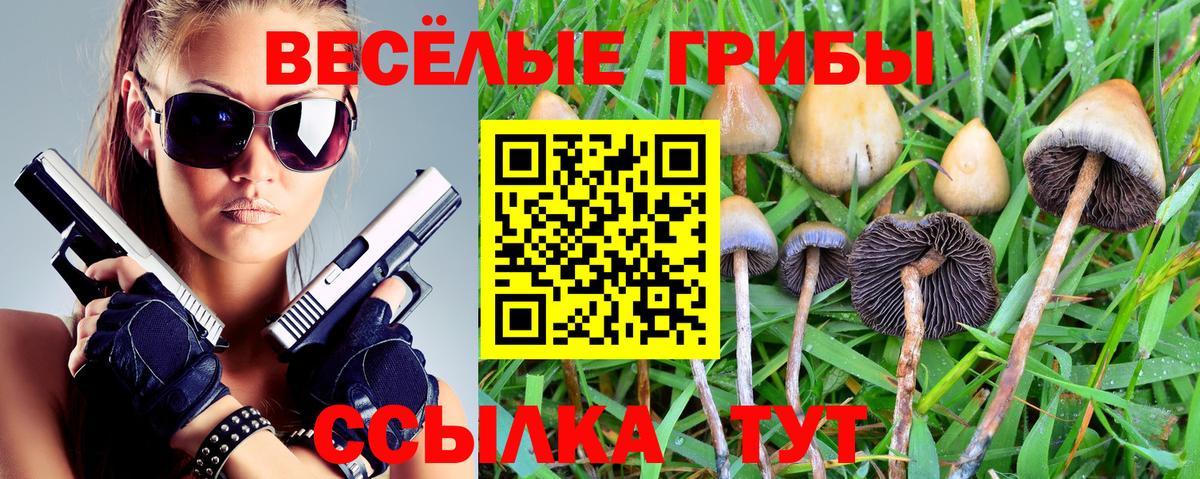 Псилоцибиновые грибы GOLDEN TEACHER Нефтекамск