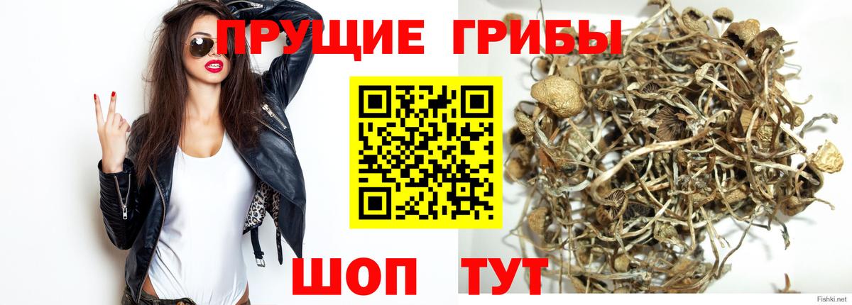 Галлюциногенные грибы GOLDEN TEACHER  Вход с VPN  Нефтекамск 